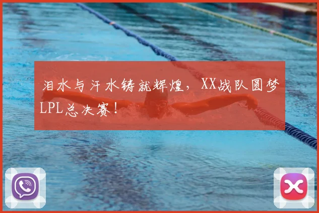 泪水与汗水铸就辉煌，XX战队圆梦LPL总决赛！