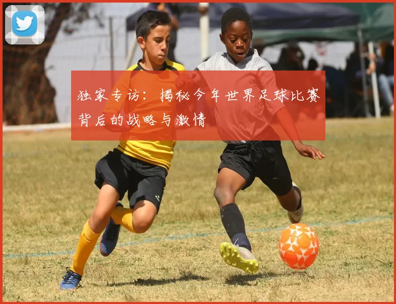 独家专访：揭秘今年世界足球比赛背后的战略与激情